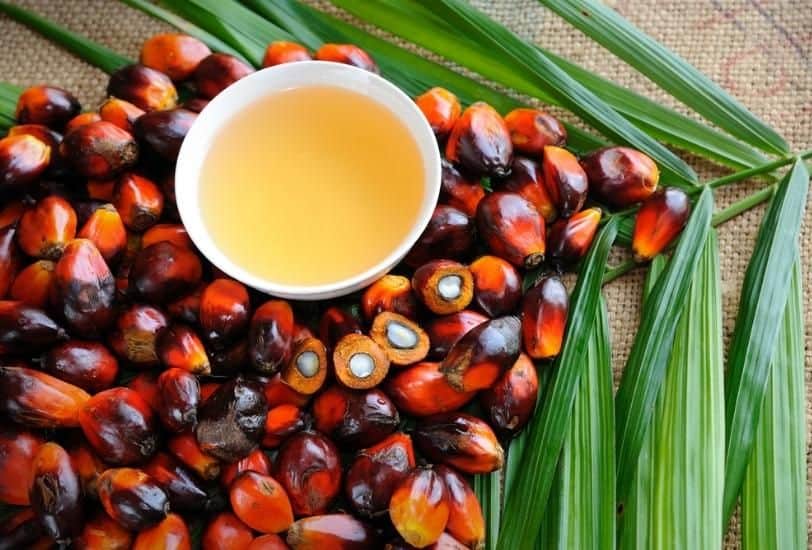 Palmöl und Gesundheit